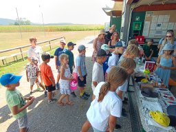 img_20260812_110413
